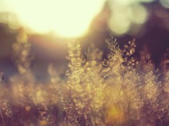 Prawdziwy odpoczynek? Zobacz jak zaplanować wakacje bez nowych technologii.