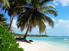 Wakacje na Hawajach, ktrórą wyspę wybrać? hawaje