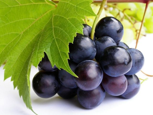 wartosci-odzywcze-winogron