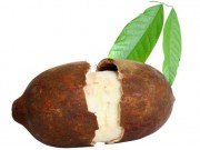 Cupuacu – niezwykły i nieznany owoc Cupuacu