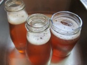 Kombucha – grzyb herbaciany Kombucha