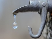 Woda klonowa Woda klonowa