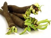 Wężymord Wężymord