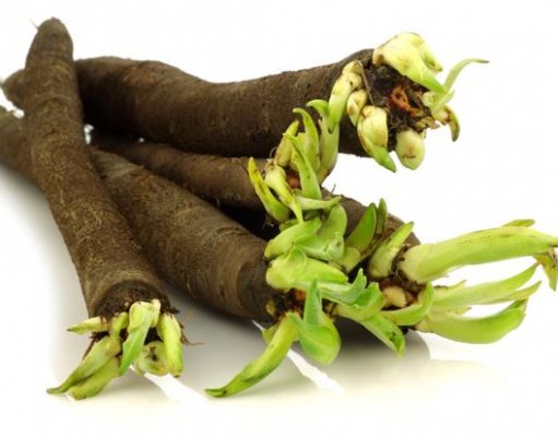 Wężymord Wężymord