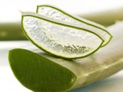 Aloes aloes-superfood