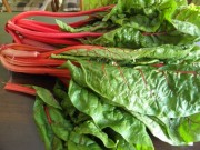 Boćwina czyli młode buraki ćwikłowe z bulwą! ZOBACZ! bocwina-wlasciwosci