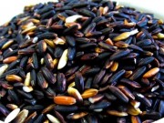 Czarny ryż czarny-ryz