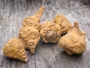 Korzeń Maca korzen-maca