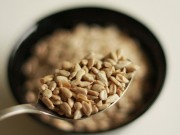 Ziarna słonecznika ziarna-slonecznika