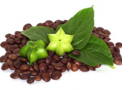 Olej Inca Inchi Olej Inca Inchi