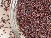 Babka płesznik babka-plesznik