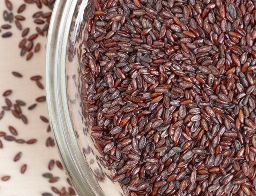 Babka płesznik babka-plesznik