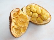 Owoce chlebowca owoce-chlebowca