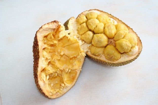 owoce-chlebowca