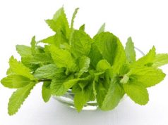 Mięta pieprzowa – ikona ziołolecznictwa! ZOBACZ dlaczego!? mieta