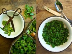 Zioła na piękne włosy – DWIE niedoceniane rośliny! plukanka-z-pokrzywy-na-wlosy