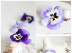 Herbatka z bratka na detoks cery i odchudzanie! bratki