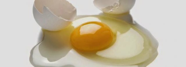 białko-jaja