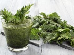 Zioła, które powinna mieć każda z nas! Zobacz jakie! pokrzywa