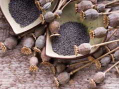 Zdrowe pestki, ziarna i nasiona które powinnaś włączyć do diety! niebieski-mak