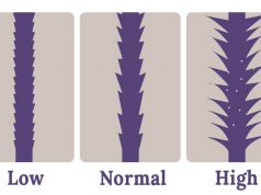 Pielęgnacja włosów o różnym stopniu porowatości porowatosc-wlosow