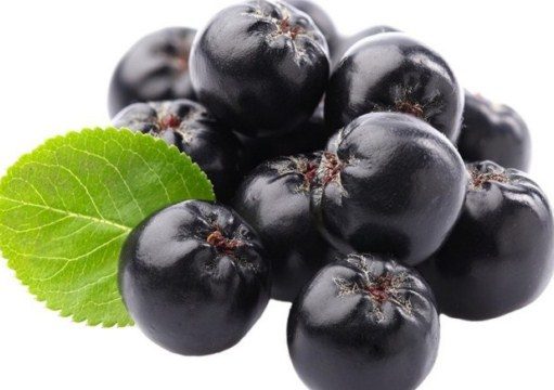 Aronia i olej z aronii – 13 ważnych właściwości oraz zastosowanie! aronia-owoce