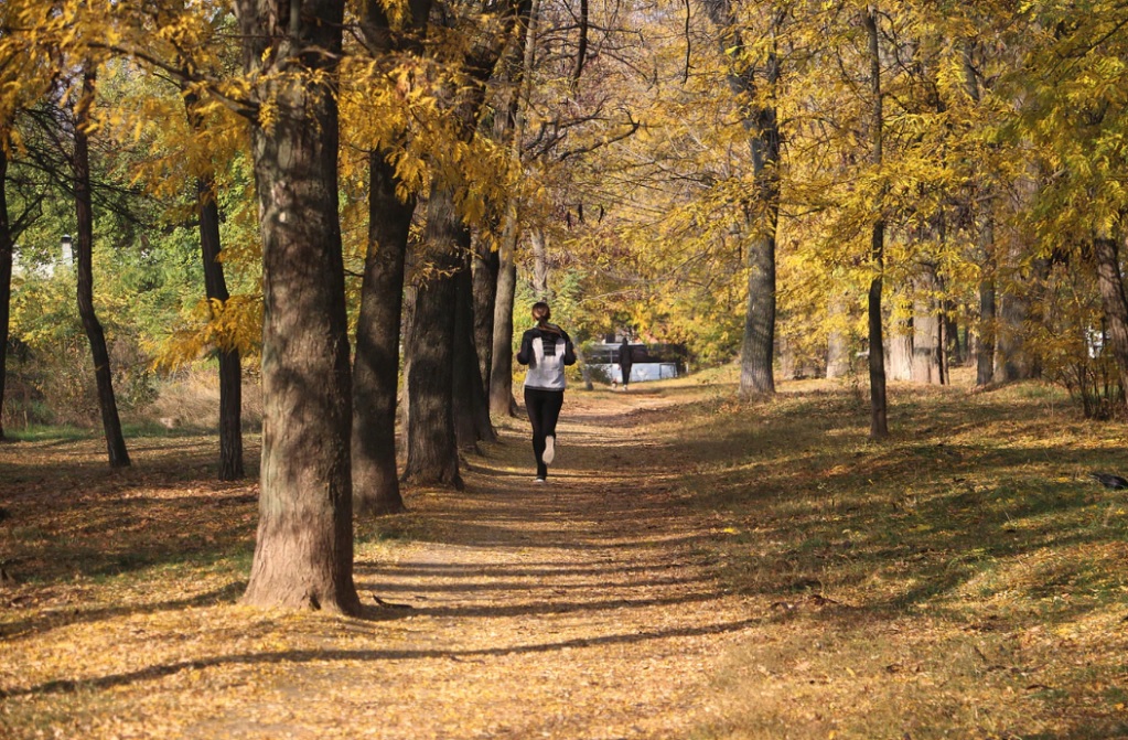 kobieta biega w parku jesienią-2