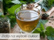 Zioła na cukrzycę wspomogą terapię ziola na wysoki cukier