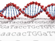 Przegląd nowoczesnych badań genetycznych choroba-genertyczna